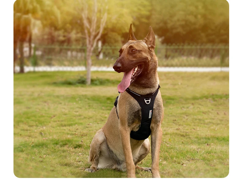 Arnés Anti-Tirones para Perros — Reflectante Ajustable