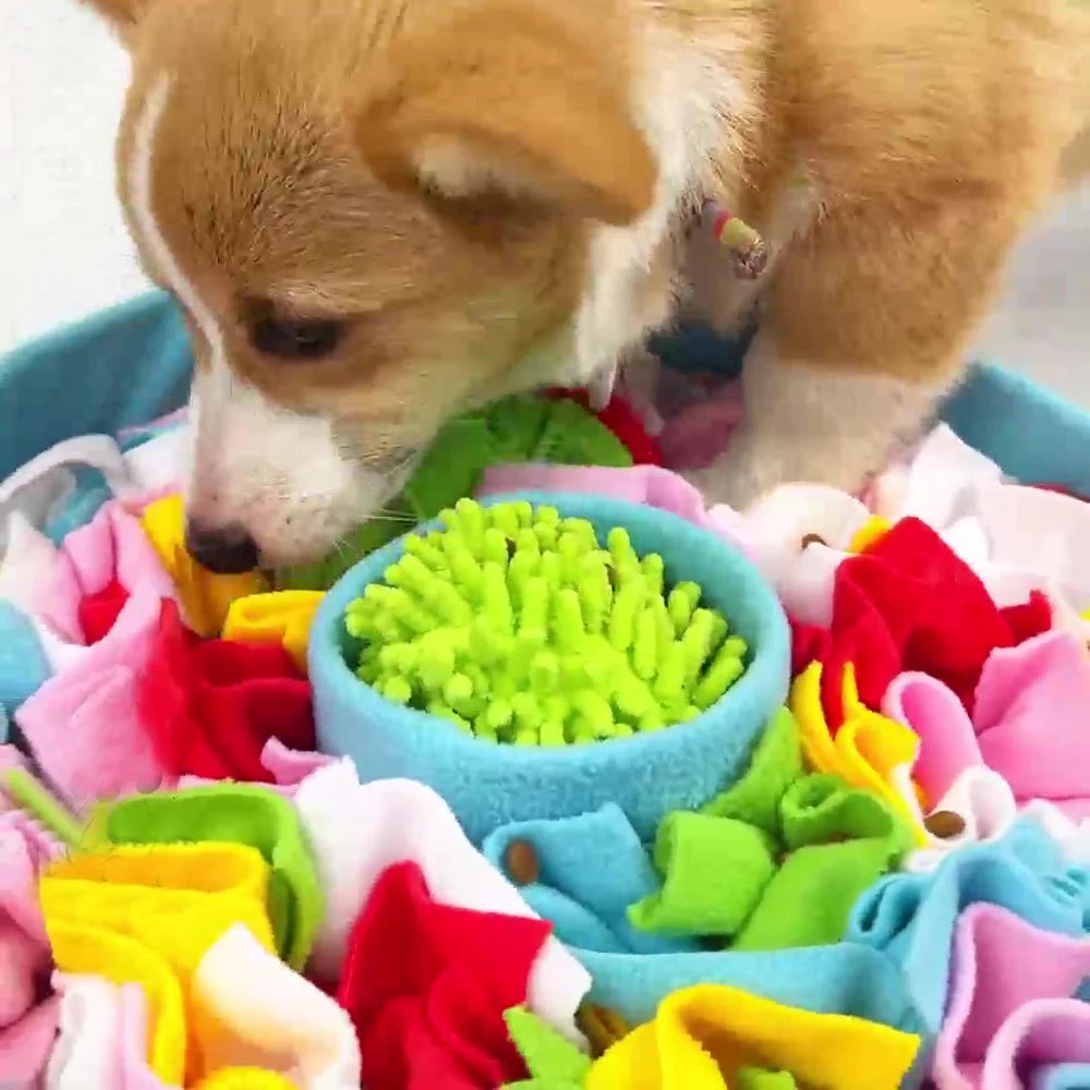 Snuffle Mat para Perros — Alfombra Olfativa Antiestres