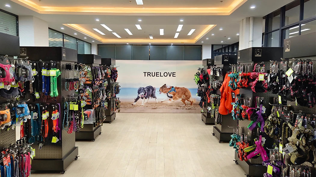Arnés Anti-Tirones para Perros — Reflectante Ajustable