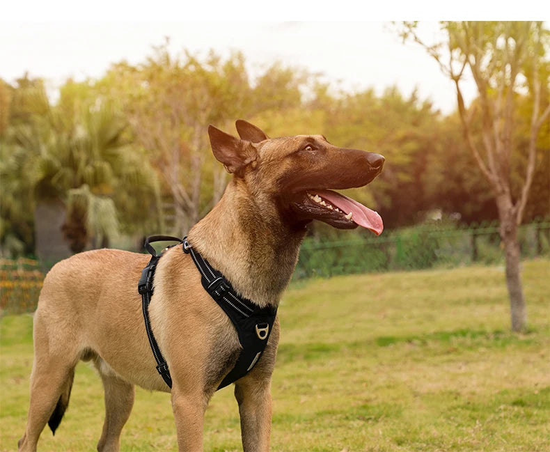 Arnés Anti-Tirones para Perros — Reflectante Ajustable